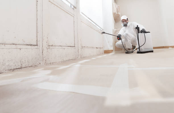 24/7 Emergency Mold Removal experts in Luthersburg, PA